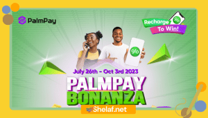 Glo and PalmPay Bonanza